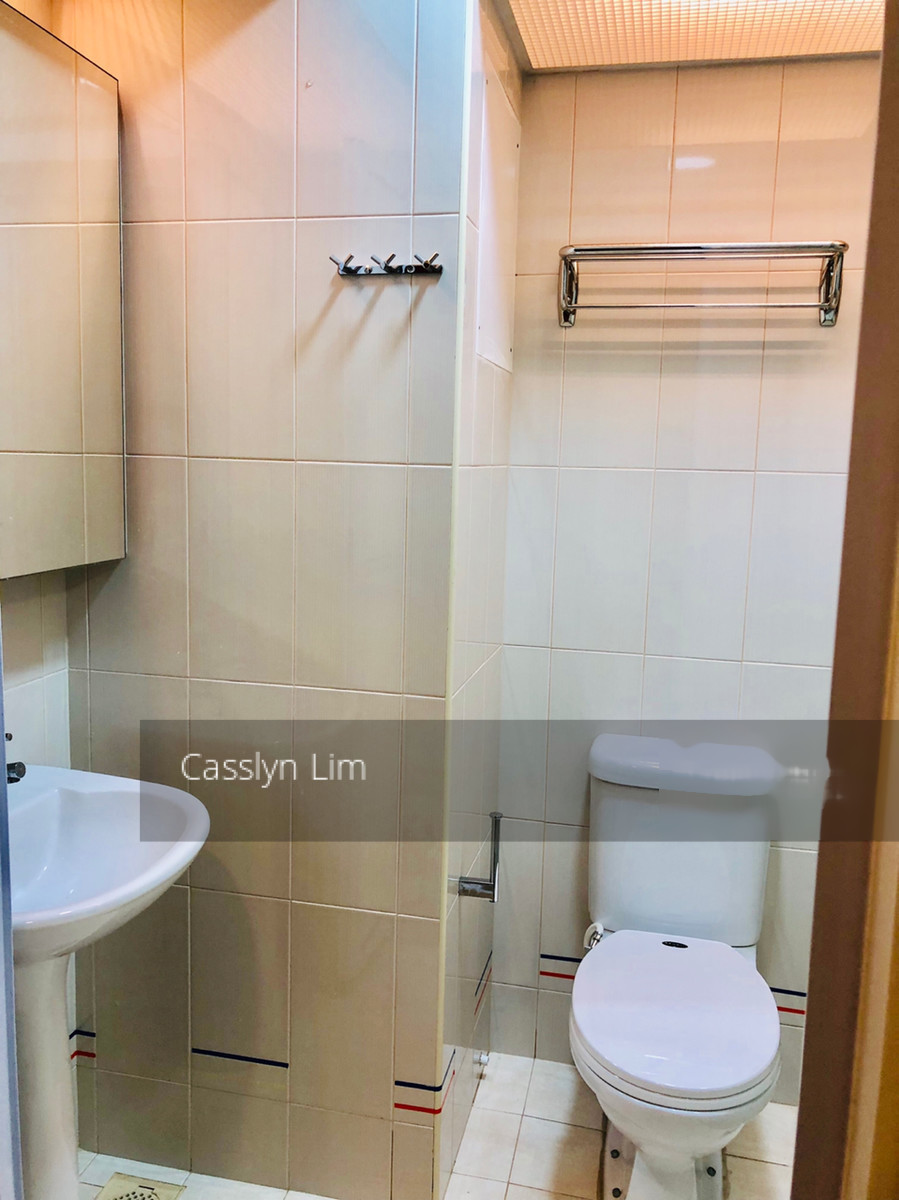 Blk 10B Tiong Bahru View (Bukit Merah), HDB 4 Rooms #206100091